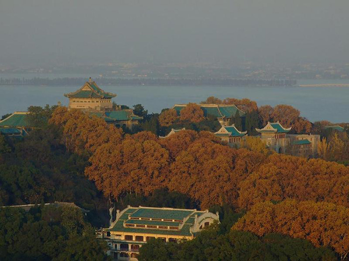 武汉大学旅游景点_武汉大学旅游路线_武汉大