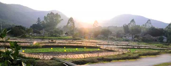 农乐园官网图片