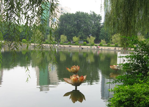 竹湖园