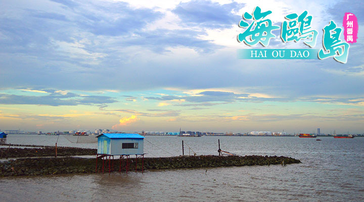 海鸥岛位于广州市番禺区石楼镇,从市区出发约1小时.