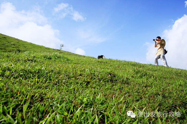 罗定八排山大草原攻略_罗定八排山大草原在哪里_云浮