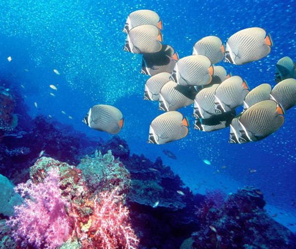 长沙有什么好玩的地方之长沙海底世界