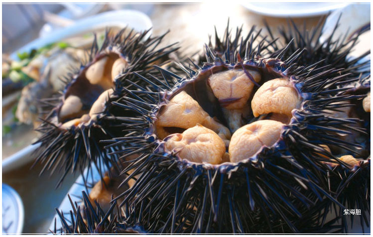 大连吃海鲜攻略