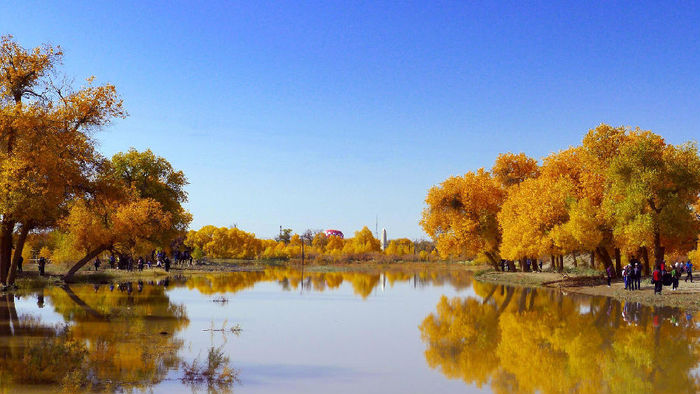 节时间:2014年9月30日-10月30日 2014塔里木胡杨文化旅游节地点:轮台